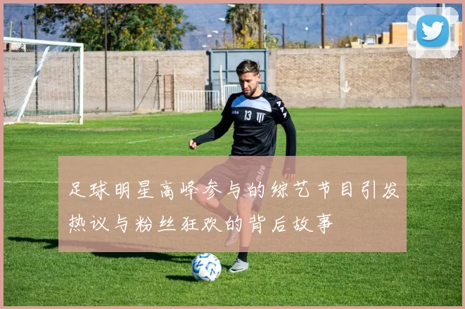 足球明星高峰参与的综艺节目引发热议与粉丝狂欢的背后故事