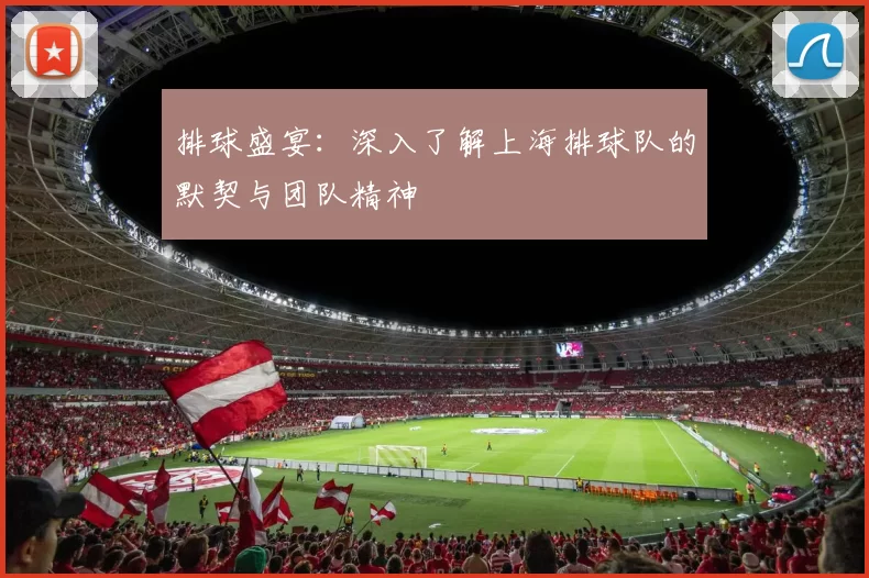 排球盛宴：深入了解上海排球队的默契与团队精神