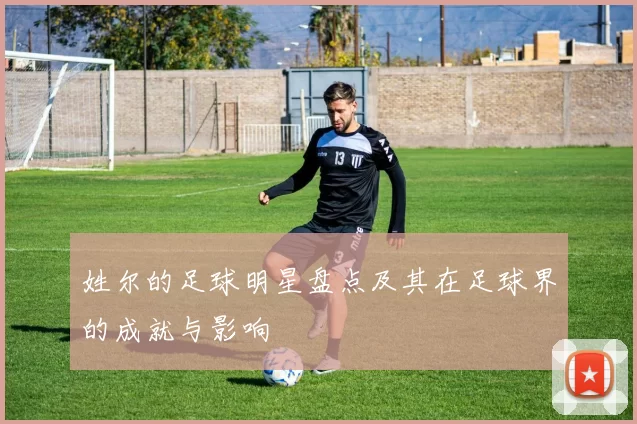姓尔的足球明星盘点及其在足球界的成就与影响