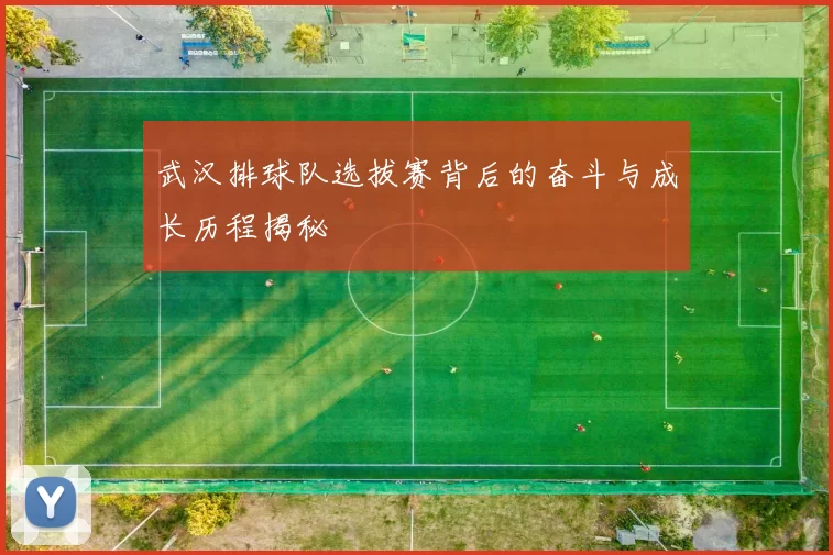 武汉排球队选拔赛背后的奋斗与成长历程揭秘
