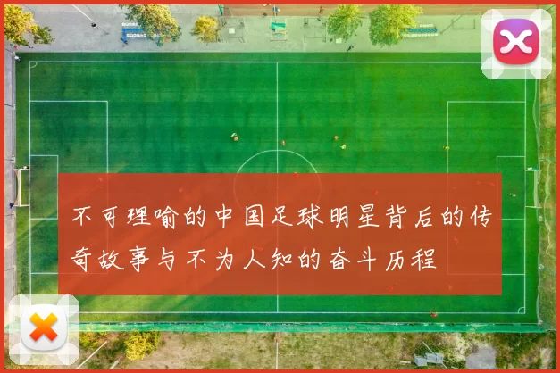 不可理喻的中国足球明星背后的传奇故事与不为人知的奋斗历程